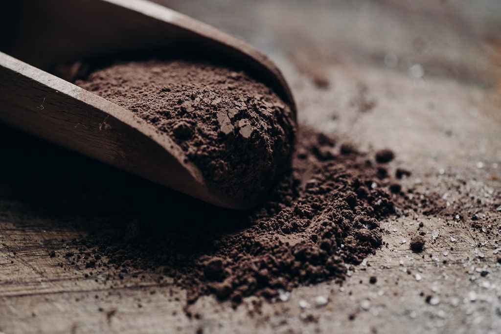 Longevity - Mushroom Cacao