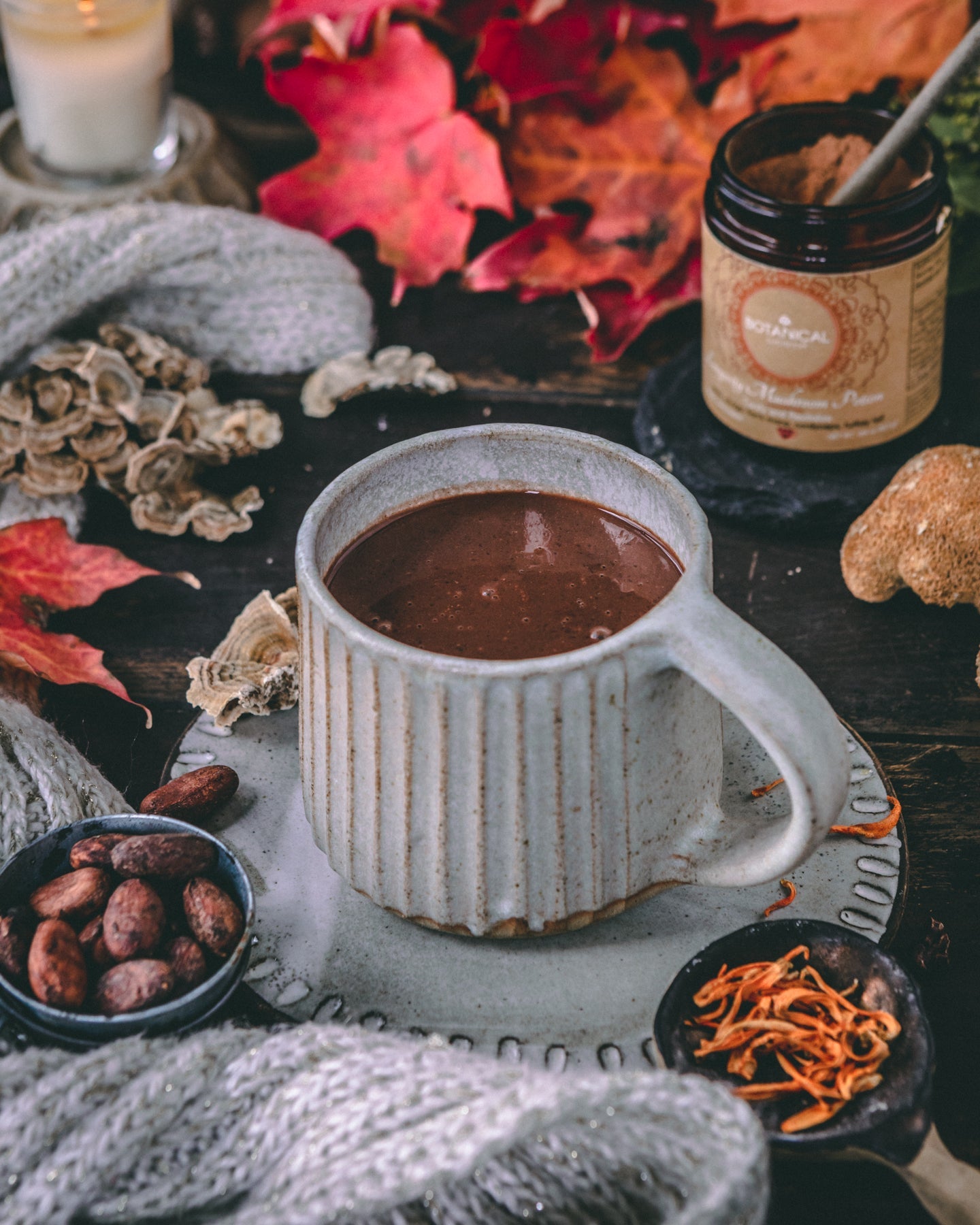 Longevity Mushroom Hot Chocolate