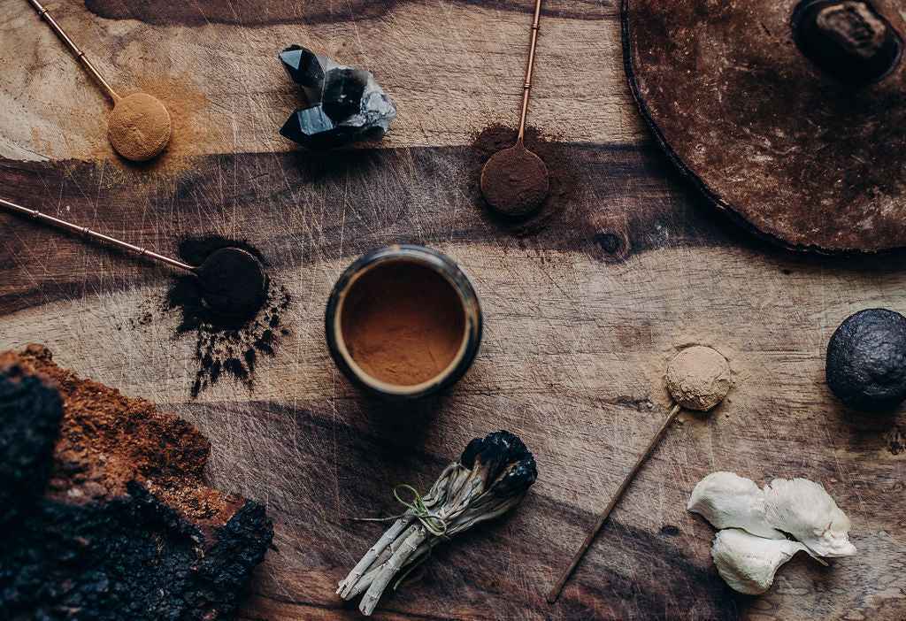 Longevity - Mushroom Cacao
