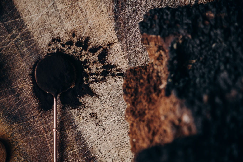 Longevity Mushroom