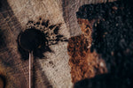 Longevity Mushroom